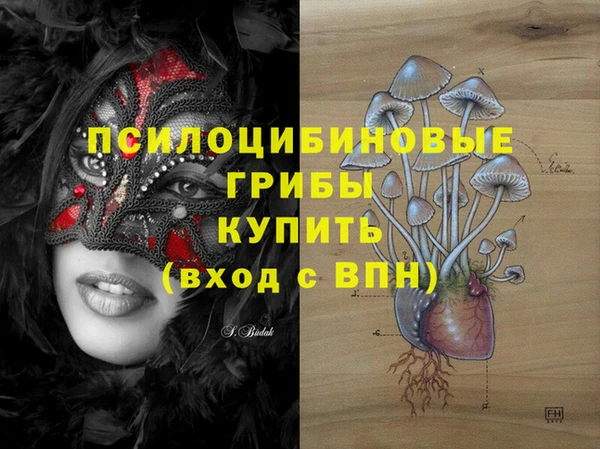 мдпв Арсеньев
